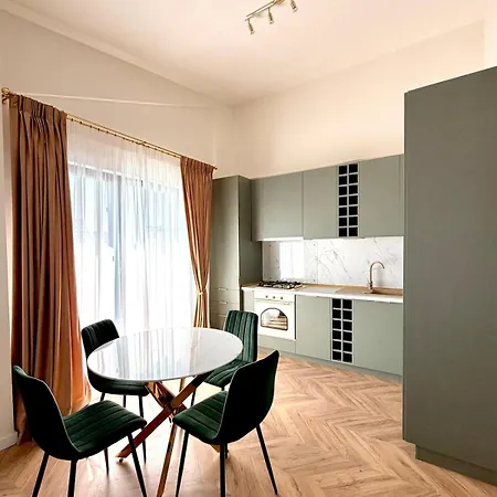 公寓 Baneasa Romaero Terrace 布加勒斯特
